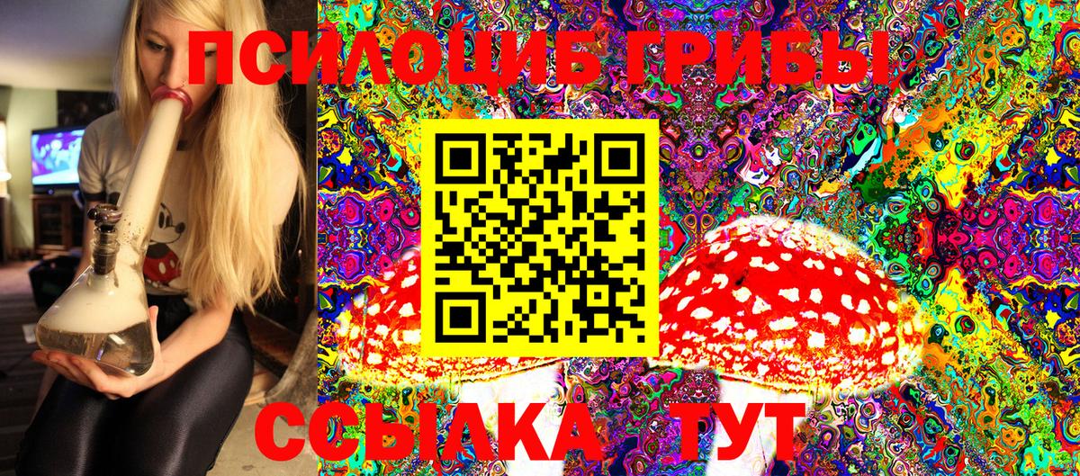 Галлюциногенные грибы Cubensis  Вход с VPN  Домодедово 